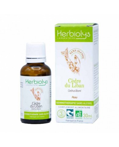 Cèdre du Liban bourgeons en liquide sans alcool Bio Cèdre du Liban bourgeons en liquide sans alcool Bio