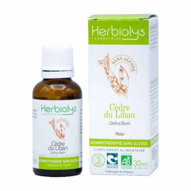 Cèdre du Liban bourgeons en liquide sans alcool Bio Cèdre du Liban bourgeons en liquide sans alcool Bio