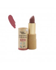 ROUGE A LEVRES BRIQUE ROUGE A LEVRES BRIQUE