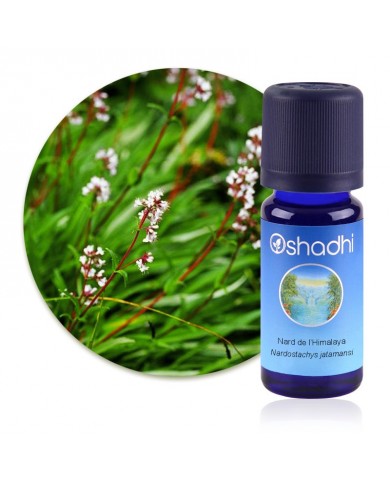 Huile essentielle Nard de l'Himalaya (Bio) Huile essentielle Nard de l'Himalaya (Bio)