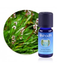 Huile essentielle Opoponax