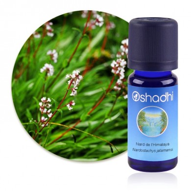Huile essentielle Nard de l'Himalaya (Bio) Huile essentielle Nard de l'Himalaya (Bio)