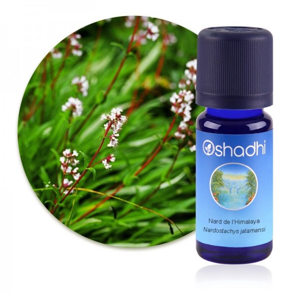Huile essentielle Nard de l'Himalaya (Bio)