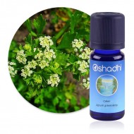 Huile Essentielle de Céleri Huile Essentielle de Céleri