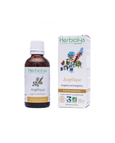 Angélique extrait hydroalcoolique Bio Angélique extrait hydroalcoolique Bio
