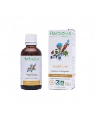 Millepertuis extrait hydroalcoolique Bio Millepertuis extrait hydroalcoolique Bio