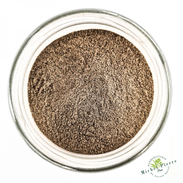 Echinacée - en poudre