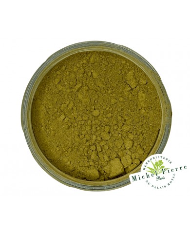 Ginkgo biloba en poudre Ginkgo biloba en poudre