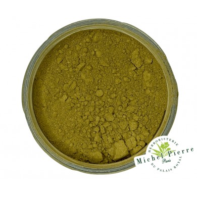 Ginkgo biloba en poudre