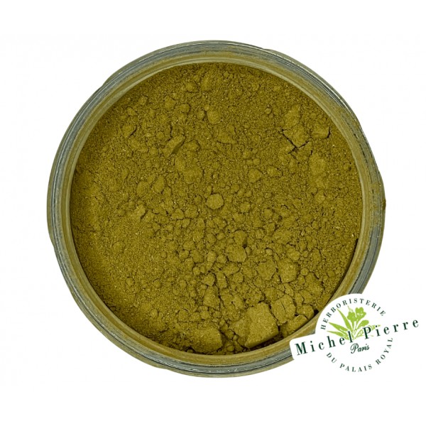 Ginkgo biloba en poudre