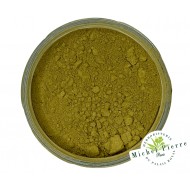 Ginkgo biloba en poudre