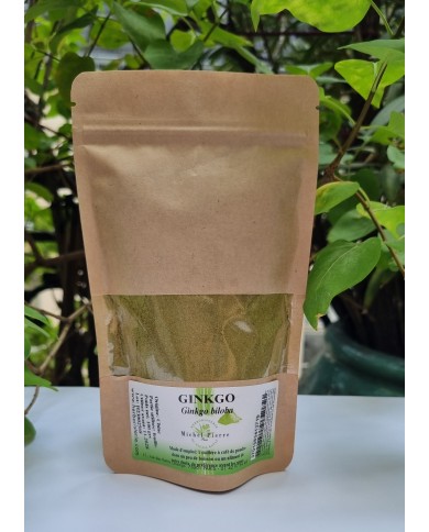 Ginkgo biloba en poudre Ginkgo biloba en poudre
