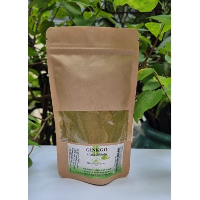 Ginkgo biloba en poudre Ginkgo biloba en poudre