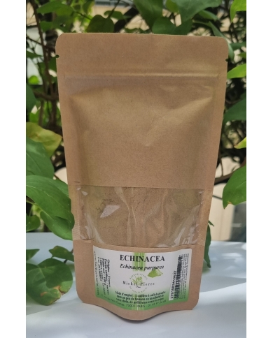 Echinacée en poudre 100 gr Echinacée en poudre 100 gr