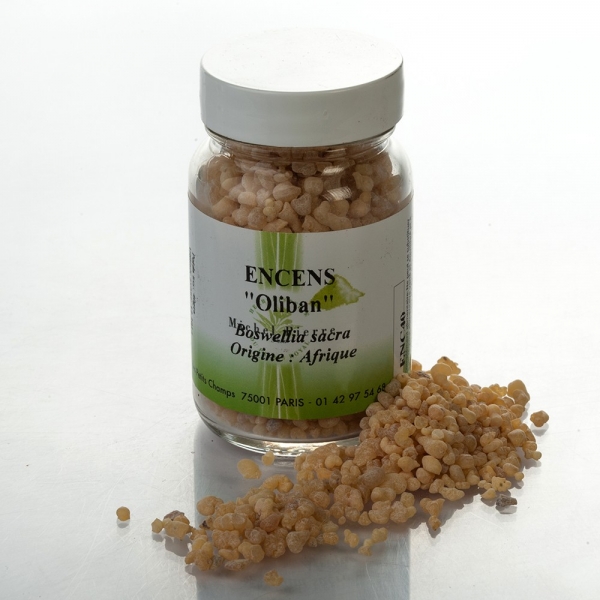 Encens Oliban en résine à brûler