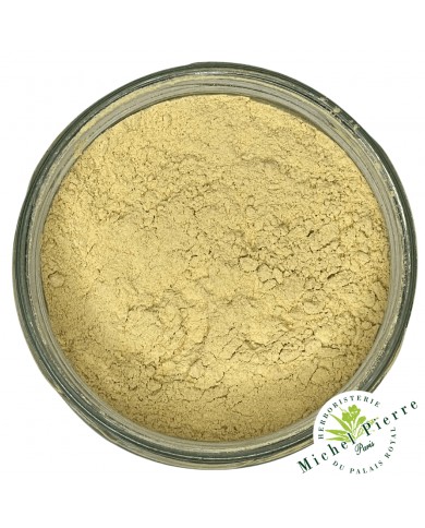 Ananas en poudre 100 gr Ananas en poudre 100 gr