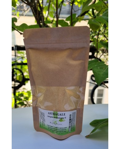 Astragale en poudre 150 gr Astragale en poudre 150 gr