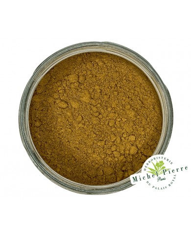 Guarana en poudre 100 gr Guarana en poudre 100 gr