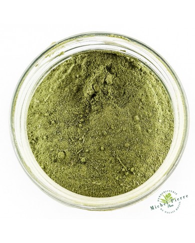 MORINGA - en Poudre MORINGA - en Poudre