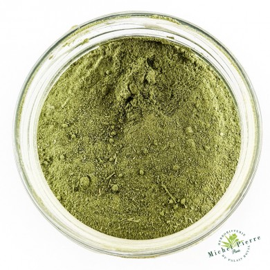 MORINGA - en Poudre MORINGA - en Poudre