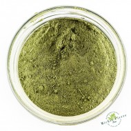 MORINGA - en Poudre MORINGA - en Poudre