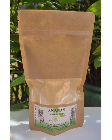 Ananas en poudre 100 gr Ananas en poudre 100 gr