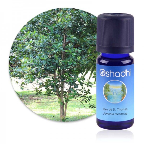 Bay de Saint Thomas en huile essentielle