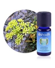 Bay de Saint Thomas en huile essentielle Bay de Saint Thomas en huile essentielle