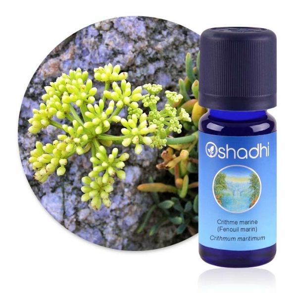 Criste Marine en huile essentielle Bio