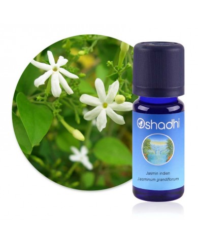 Jasmin Indien, absolue Jasmin Indien, absolue