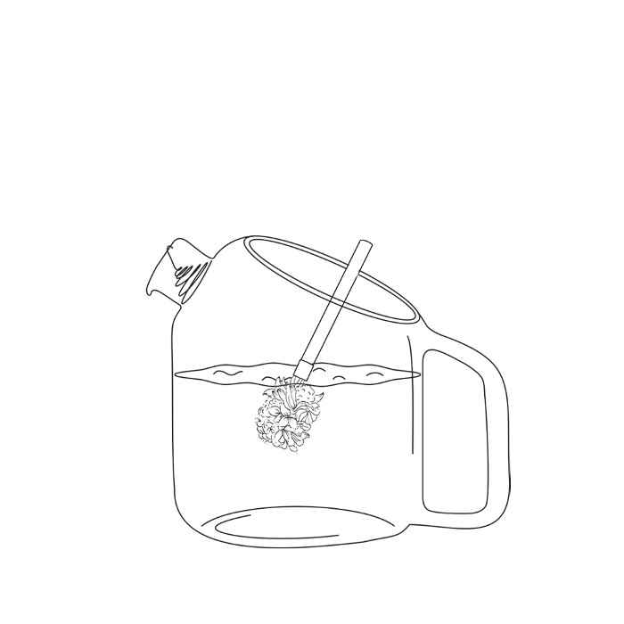 Coffret de 4 bouquets à infuser Bio