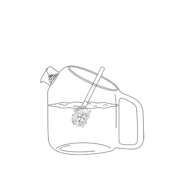 Coffret de 4 bouquets à infuser Bio