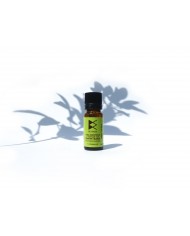 TÉRÉBENTHINE  HUILE ESSENTIELLE BIO TÉRÉBENTHINE  HUILE ESSENTIELLE BIO