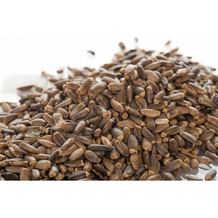 Chardon marie  - Fruit en vrac