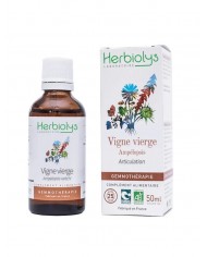 Cèdre du Liban bourgeons en liquide sans alcool Bio Cèdre du Liban bourgeons en liquide sans alcool Bio