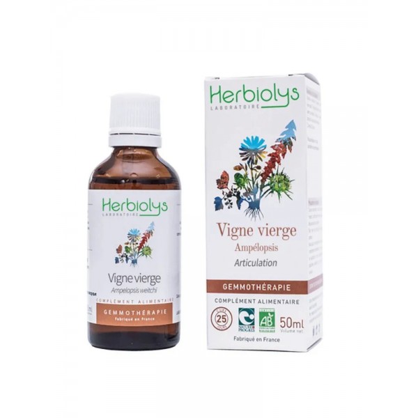 Vigne vierge bourgeons en liquide Bio