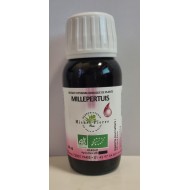 Millepertuis extrait hydroalcoolique Bio Millepertuis extrait hydroalcoolique Bio