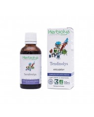 Mélisse Extrait de Plante fraîche Bio Mélisse Extrait de Plante fraîche Bio