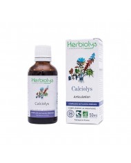 Pin à crochets Bourgeon Bio - Gemmothérapie sans alcool Pin à crochets Bourgeon Bio - Gemmothérapie sans alcool