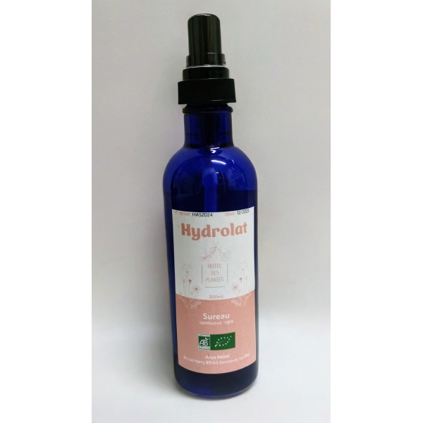 Sureau baie en hydrolat Bio