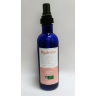 Sureau baie en hydrolat Bio Sureau baie en hydrolat Bio