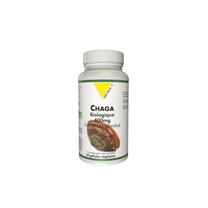 CHAGA BIO* 400mg Extrait standardisé