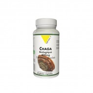 CHAGA BIO* 400mg Extrait standardisé