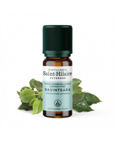 Ravintsara en huile essentielle Bio Ravintsara en huile essentielle Bio