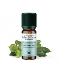 Livèche feuille en huile essentielle bio Livèche feuille en huile essentielle bio