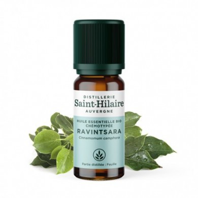 Ravintsara en huile essentielle Bio Ravintsara en huile essentielle Bio