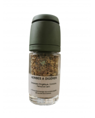 Gingembre confit Bio