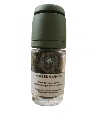 Herbes marines Herbes marines
