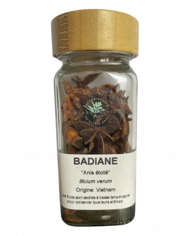 Badiane "Anis étoilé" fruit - pot à épice Badiane "Anis étoilé" fruit - pot à épice