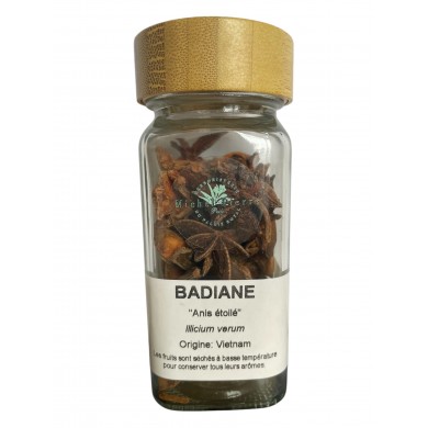 Badiane "Anis étoilé" fruit - pot à épice Badiane "Anis étoilé" fruit - pot à épice